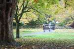 Autumn in Swindon 2008