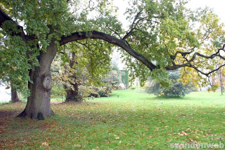 Autumn in Swindon 2008