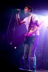 Pigeon Detectives