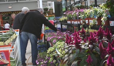 B & Q Opening