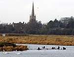 Thames Swim