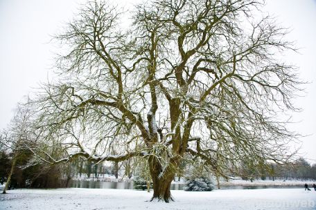 Snowtime Swindon