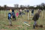 Pentylands Tree Planting Day