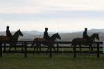 Alan King Stable Visit 2009