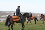 Alan King Stable Visit 2009