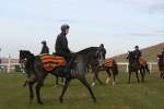 Alan King Stable Visit 2009