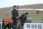 Alan King Stable Visit 2009