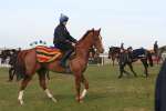 Alan King Stable Visit 2009