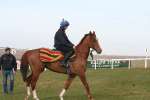 Alan King Stable Visit 2009