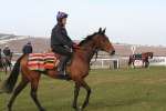 Alan King Stable Visit 2009