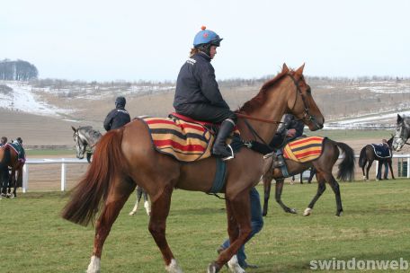 Alan King Stable Visit 2009