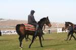 Alan King Stable Visit 2009