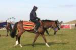 Alan King Stable Visit 2009