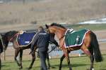 Alan King Stable Visit 2009