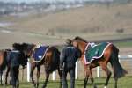 Alan King Stable Visit 2009