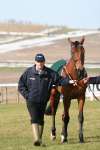 Alan King Stable Visit 2009