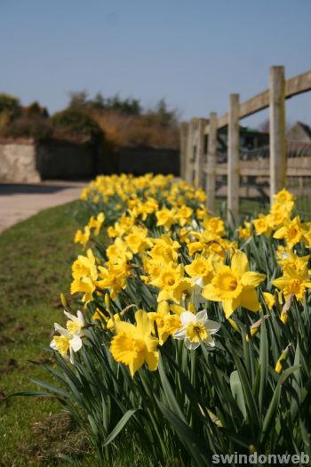 Spring at Roves Farm