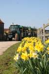 Spring at Roves Farm