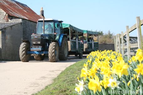 Spring at Roves Farm