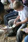 Farmer Gows