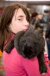 Animal Magic at the Parade in the town centre