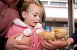 Animal Magic at the Parade in the town centre