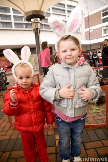 Animal Magic at the Parade in the town centre