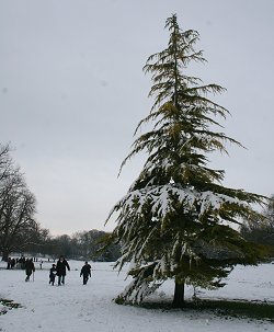 Snow time Swindon 2007