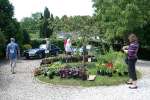 Hannington Garden Open Weekend