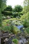 Hannington Garden Open Weekend