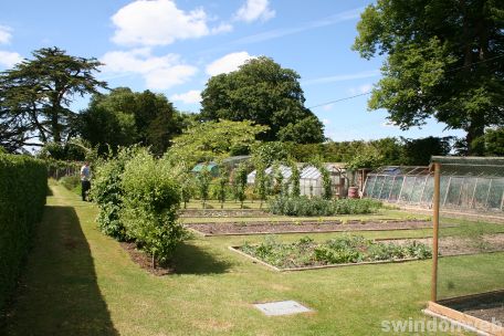 Hannington Garden Open Weekend
