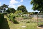 Hannington Garden Open Weekend