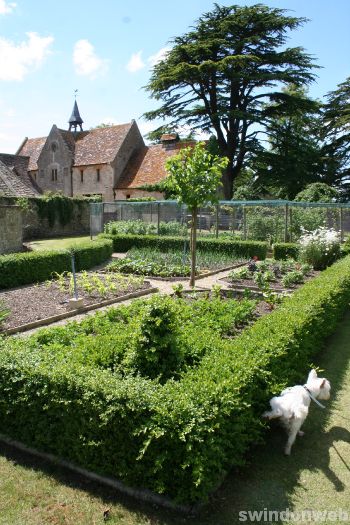 Hannington Garden Open Weekend