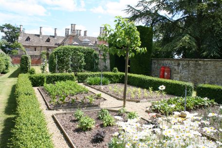 Hannington Garden Open Weekend