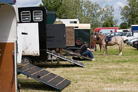 Wanborough Horse and Dog show