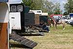 Wanborough Horse and Dog show