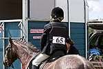 Wanborough Horse and Dog show
