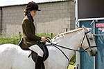 Wanborough Horse and Dog show