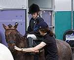 Wanborough Horse and Dog show