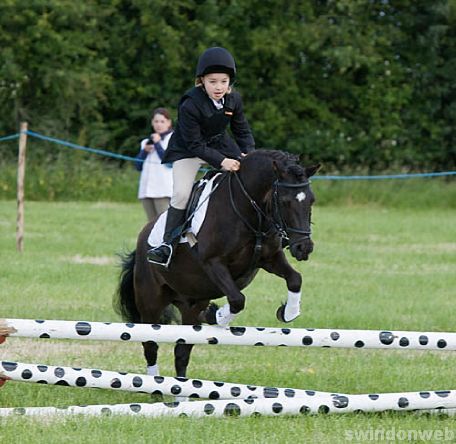 Wanborough Horse and Dog show