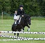 Wanborough Horse and Dog show