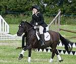 Wanborough Horse and Dog show