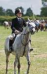 Wanborough Horse and Dog show