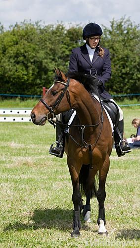 Wanborough Horse and Dog show