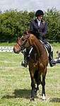 Wanborough Horse and Dog show