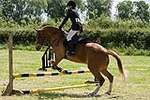 Wanborough Horse and Dog show