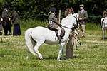 Wanborough Horse and Dog show