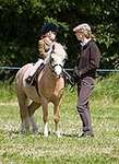 Wanborough Horse and Dog show