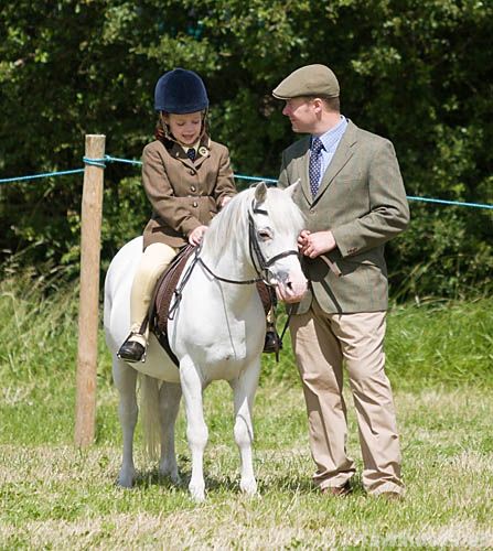 Wanborough Horse and Dog show