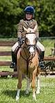 Wanborough Horse and Dog show